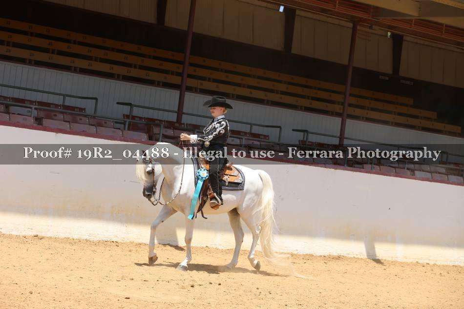 Proof 19R2_04488