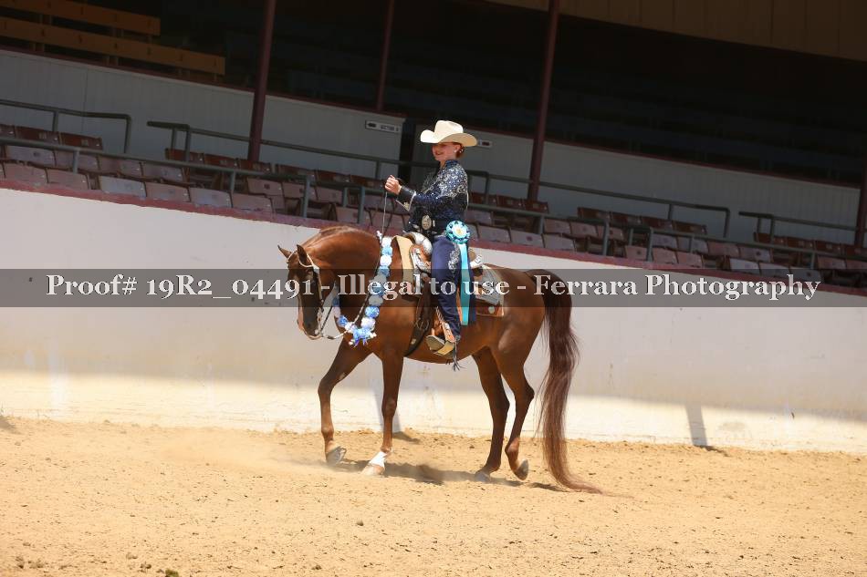 Proof 19R2_04491