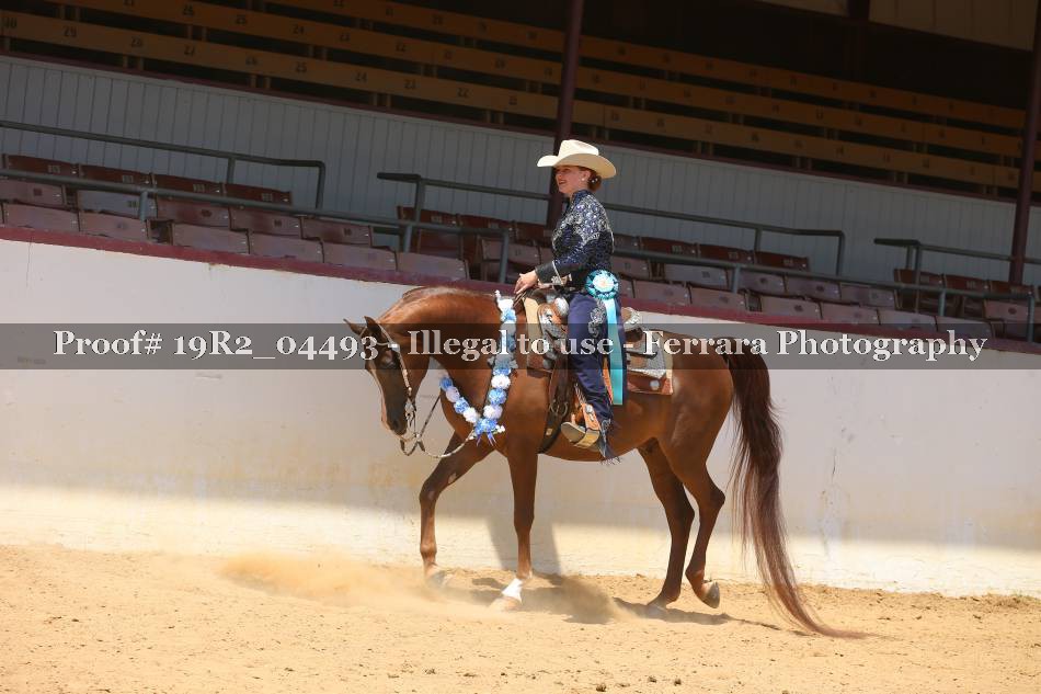 Proof 19R2_04493