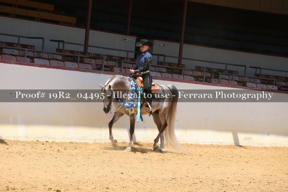 Proof 19R2_04495