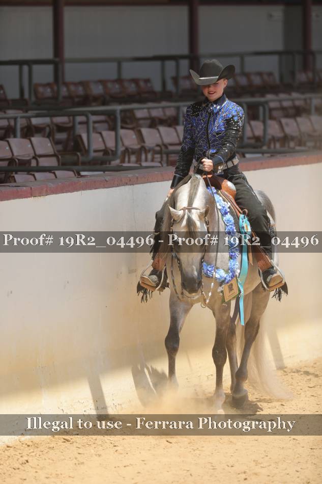 Proof 19R2_04496