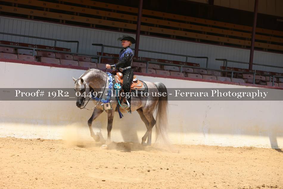 Proof 19R2_04497