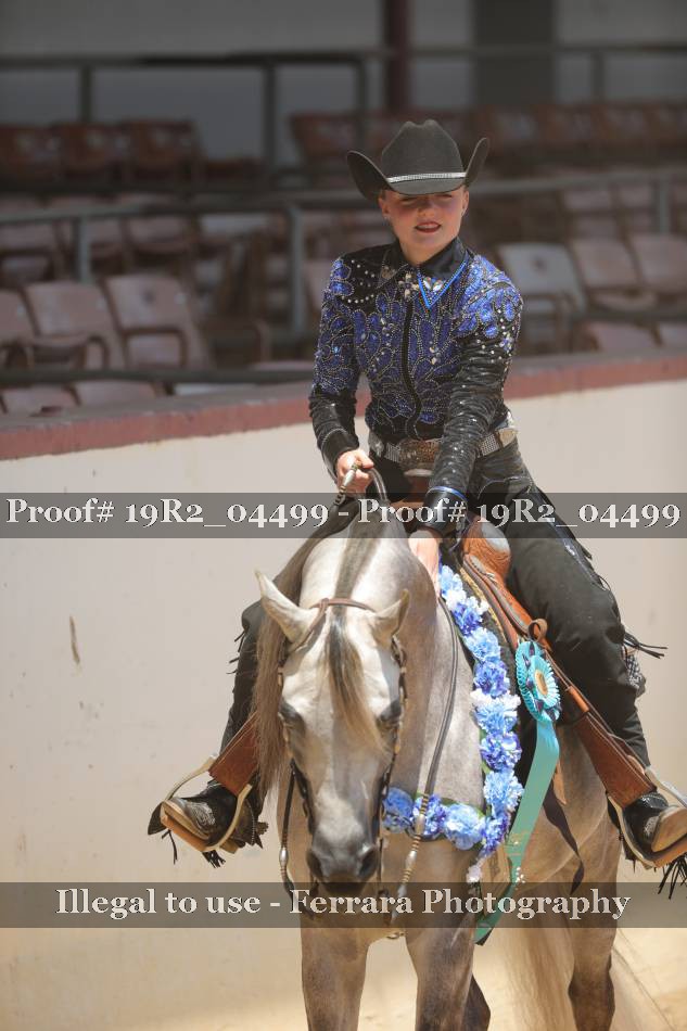 Proof 19R2_04499