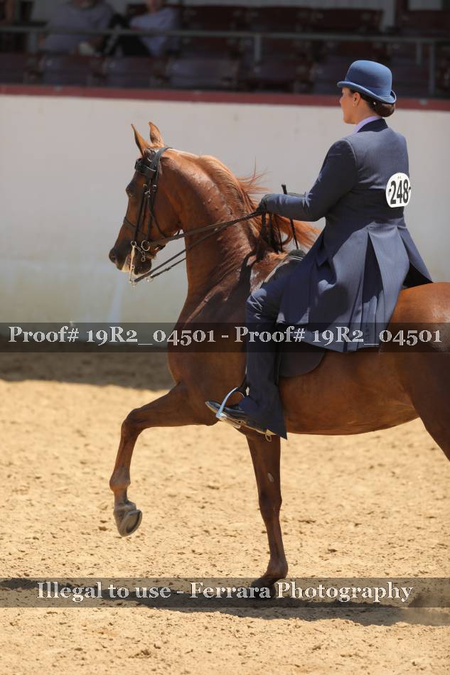 Proof 19R2_04501