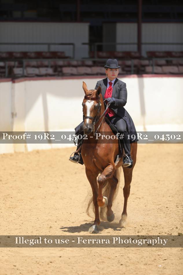 Proof 19R2_04502