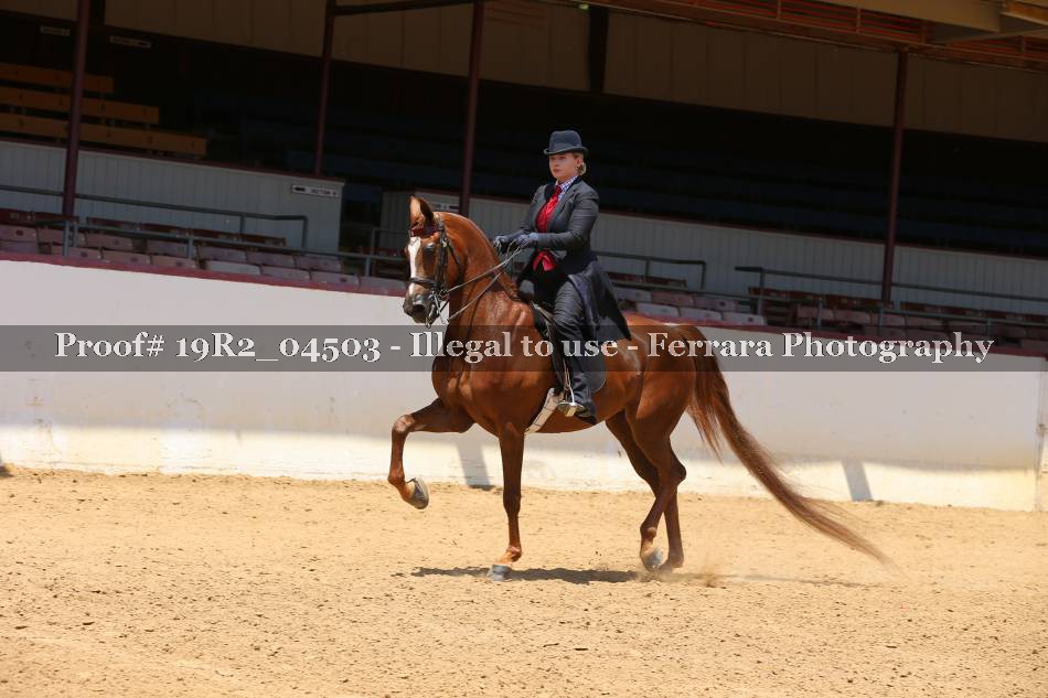 Proof 19R2_04503