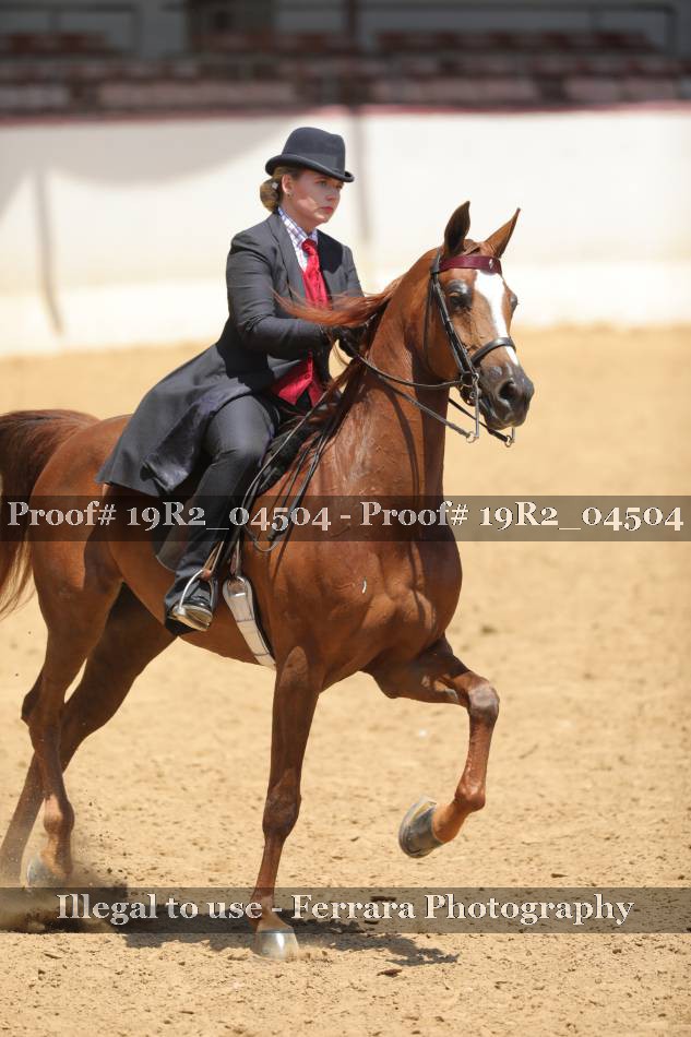 Proof 19R2_04504