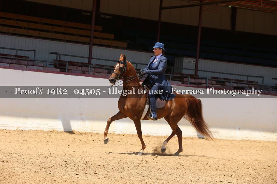 Proof 19R2_04505