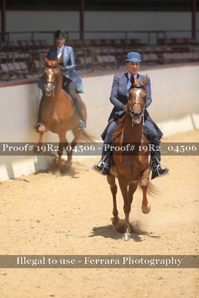 Proof 19R2_04506