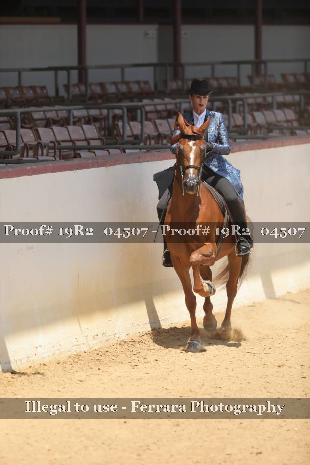 Proof 19R2_04507