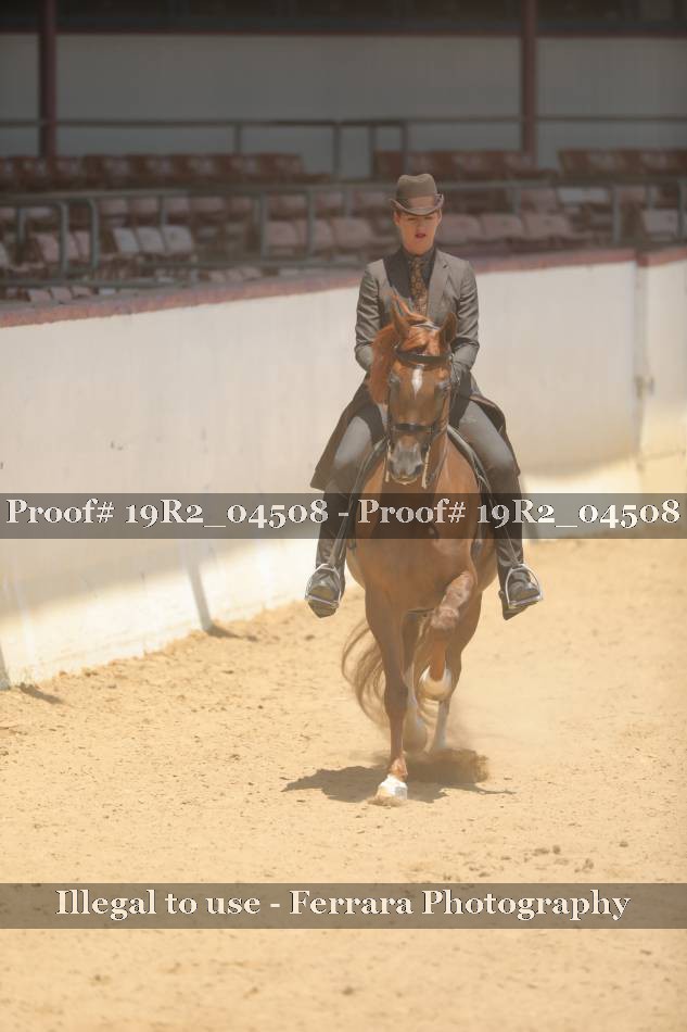Proof 19R2_04508
