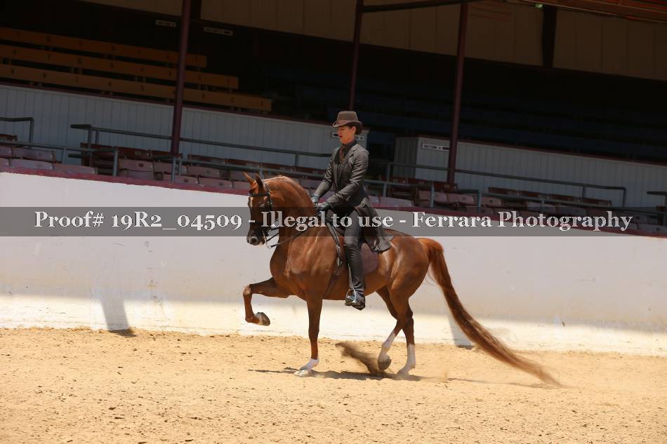Proof 19R2_04509