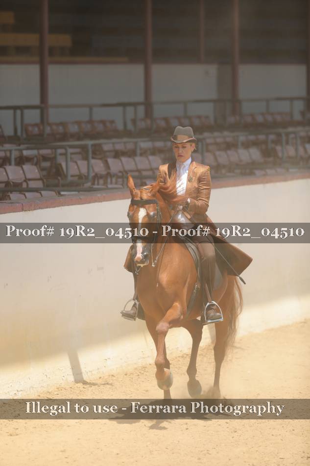 Proof 19R2_04510