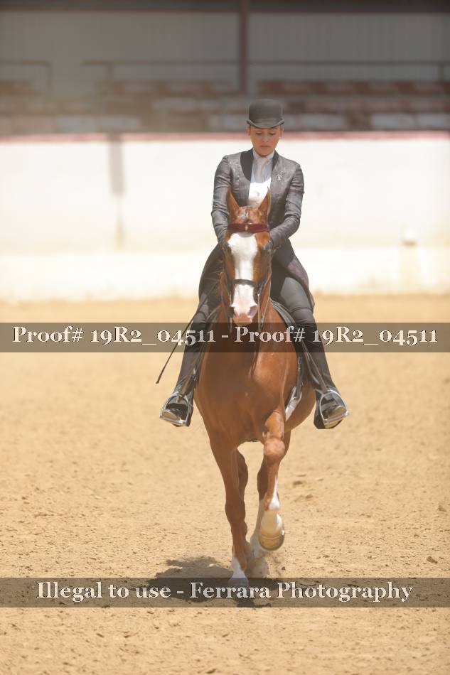Proof 19R2_04511