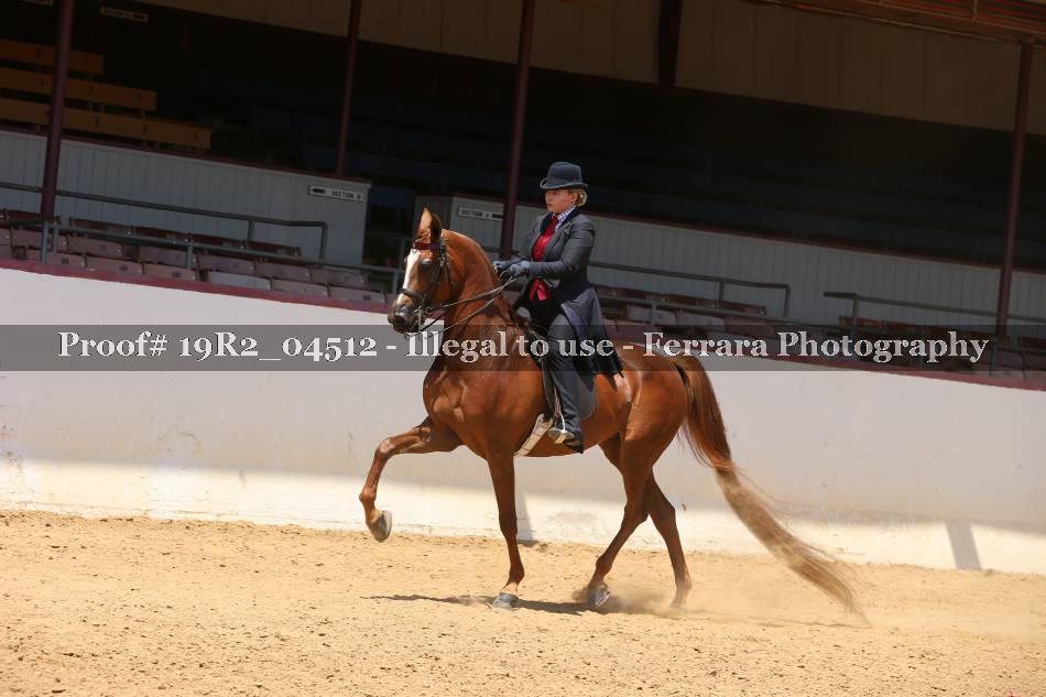 Proof 19R2_04512