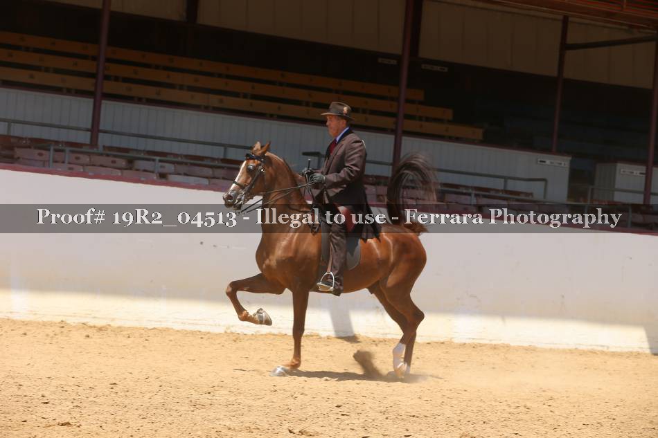 Proof 19R2_04513