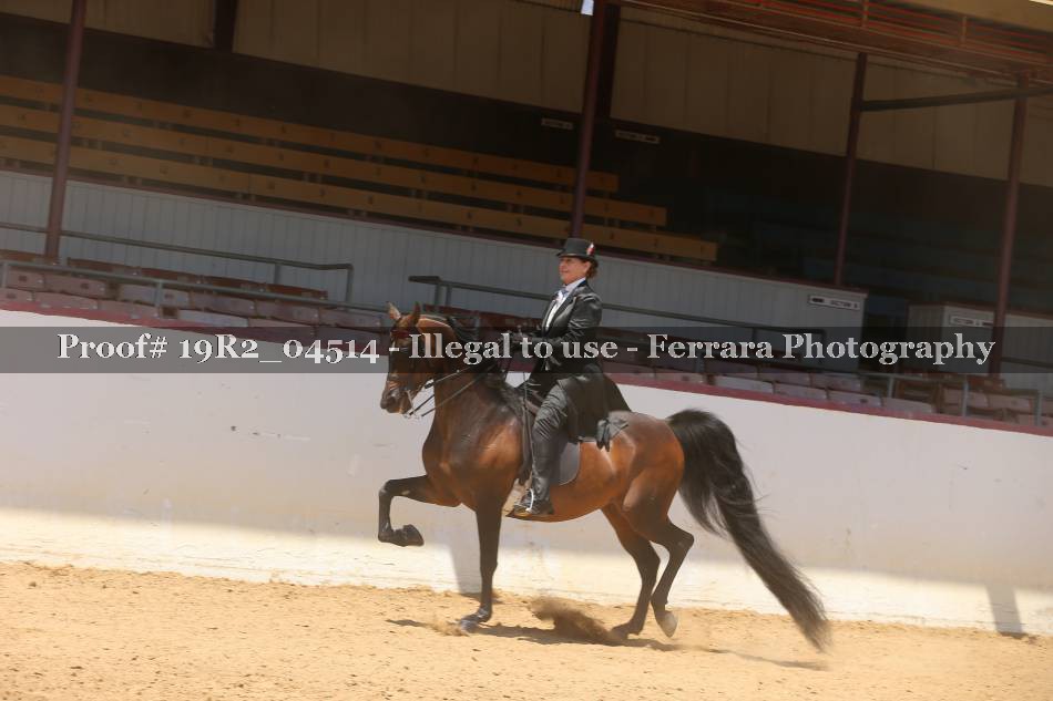 Proof 19R2_04514