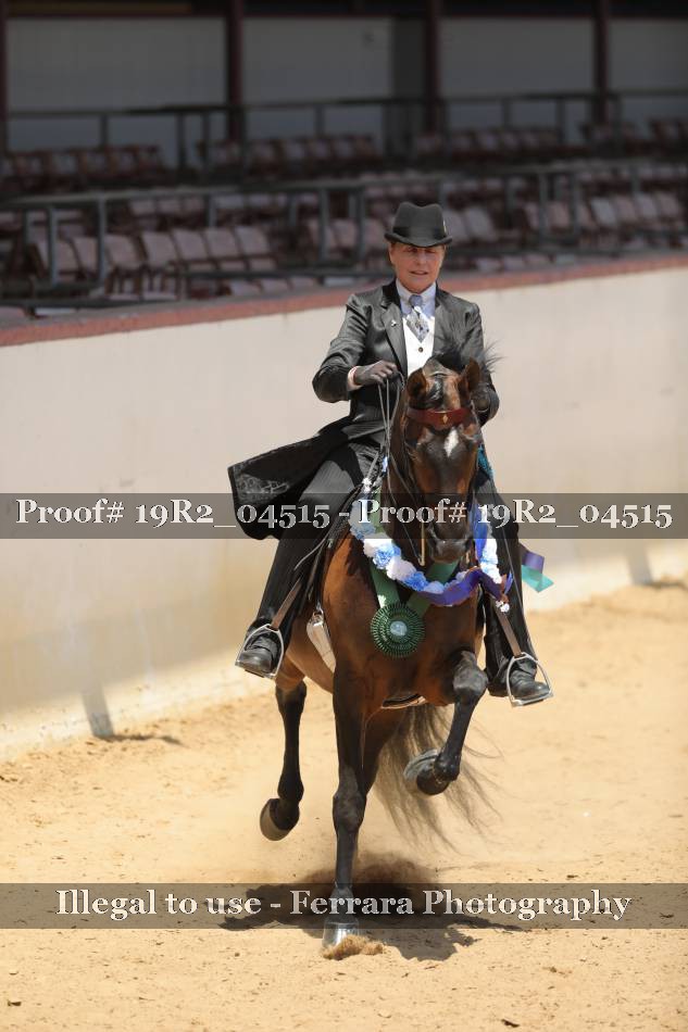 Proof 19R2_04515