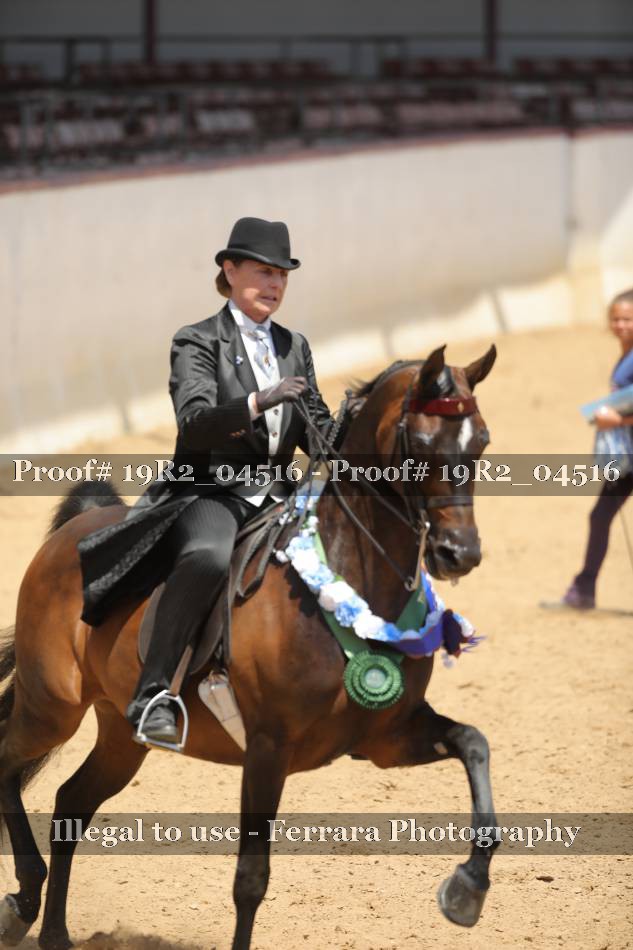 Proof 19R2_04516