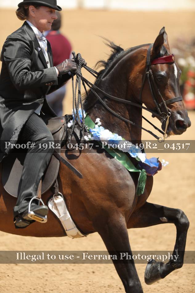 Proof 19R2_04517