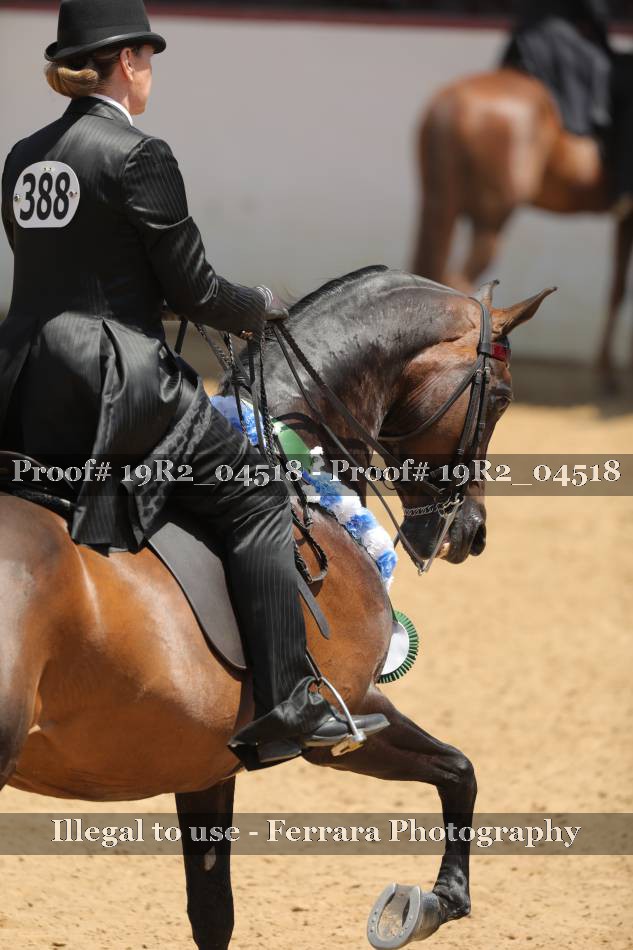 Proof 19R2_04518