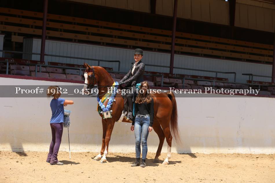 Proof 19R2_04519