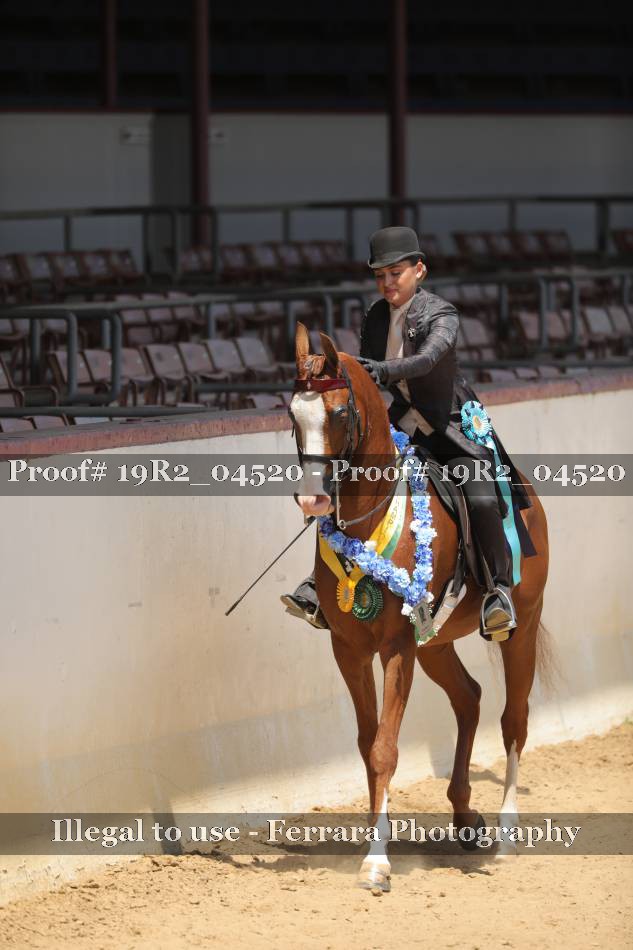Proof 19R2_04520
