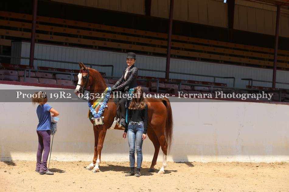 Proof 19R2_04521