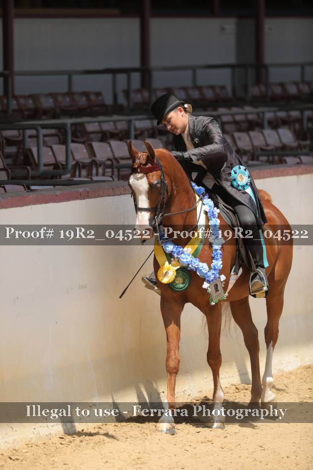 Proof 19R2_04522
