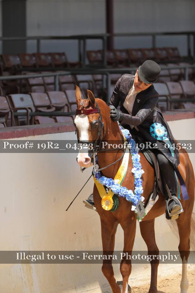Proof 19R2_04523