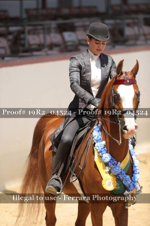 Proof 19R2_04524