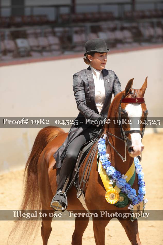 Proof 19R2_04525