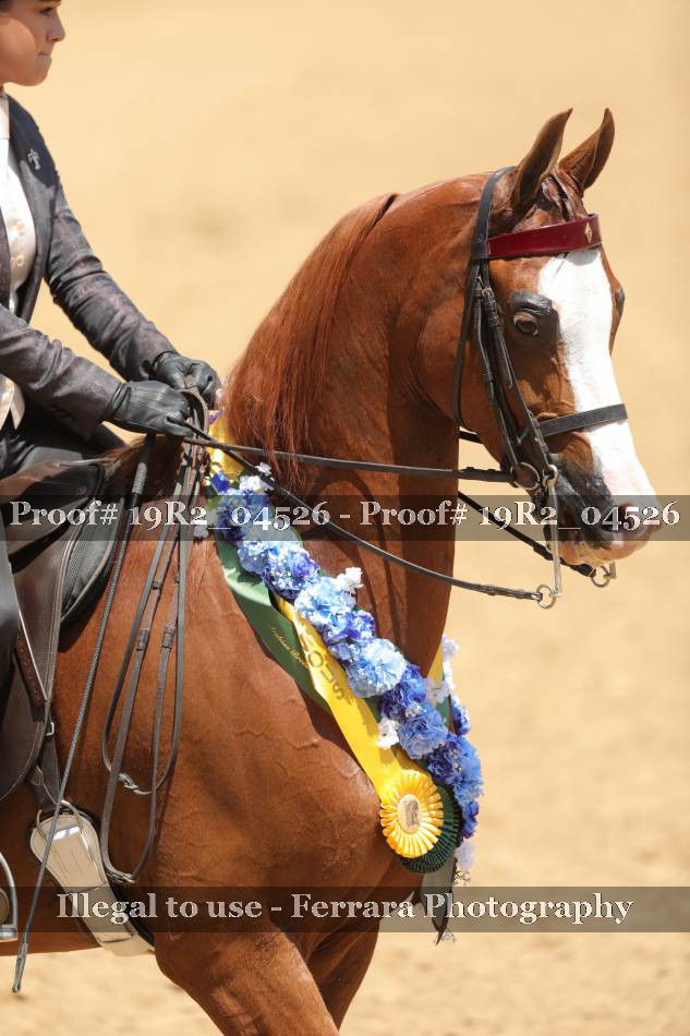Proof 19R2_04526