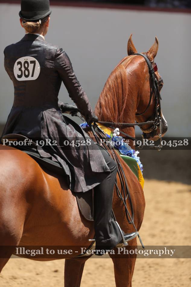 Proof 19R2_04528