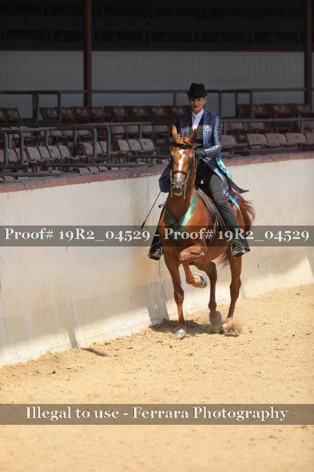 Proof 19R2_04529