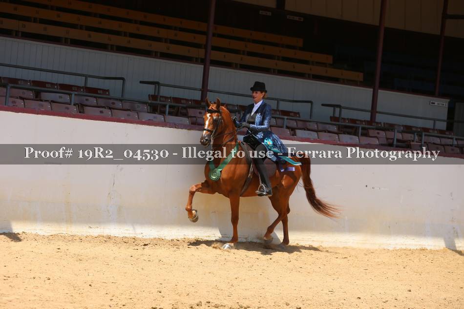 Proof 19R2_04530