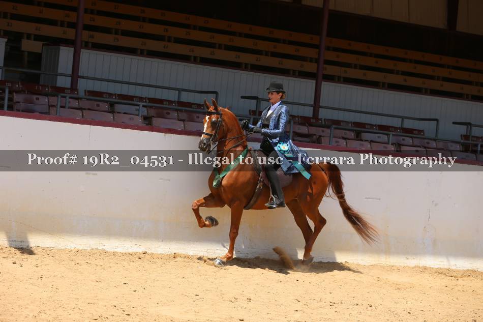 Proof 19R2_04531