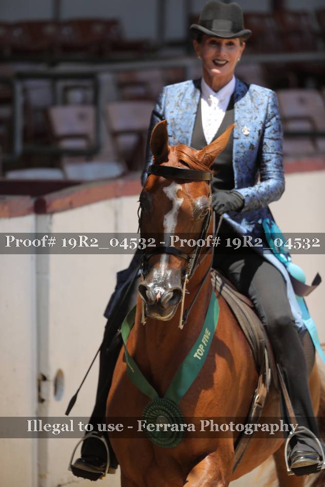 Proof 19R2_04532
