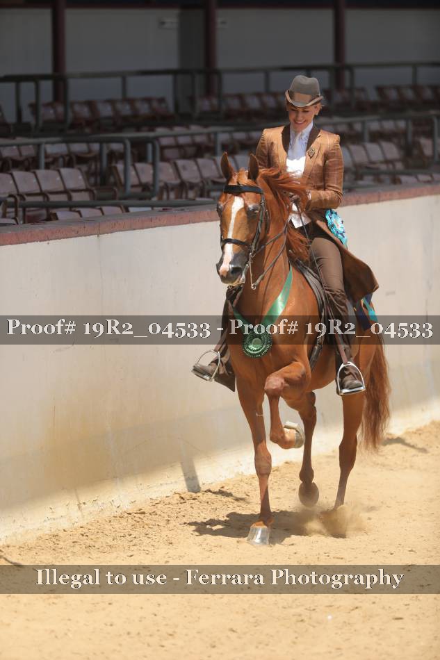 Proof 19R2_04533