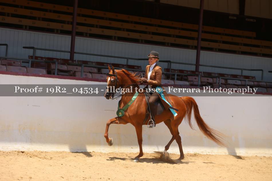 Proof 19R2_04534