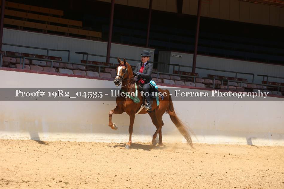 Proof 19R2_04535
