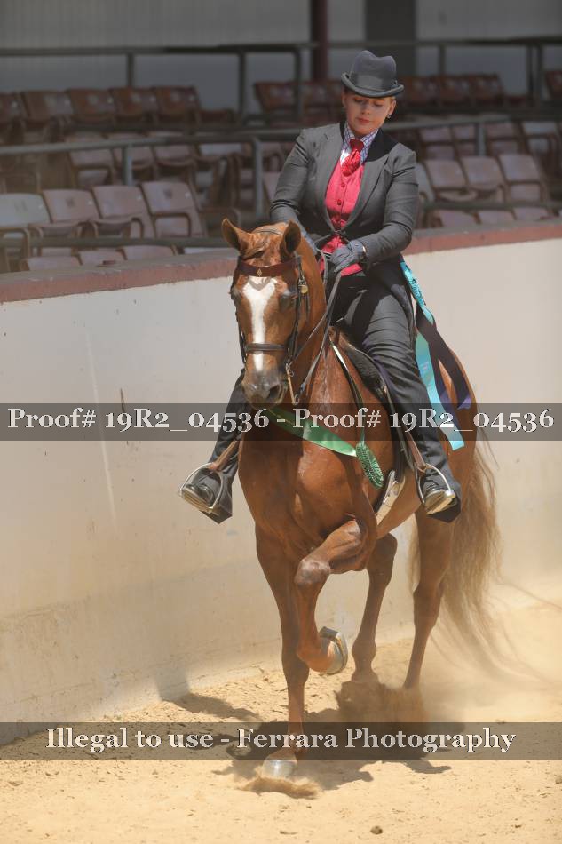 Proof 19R2_04536