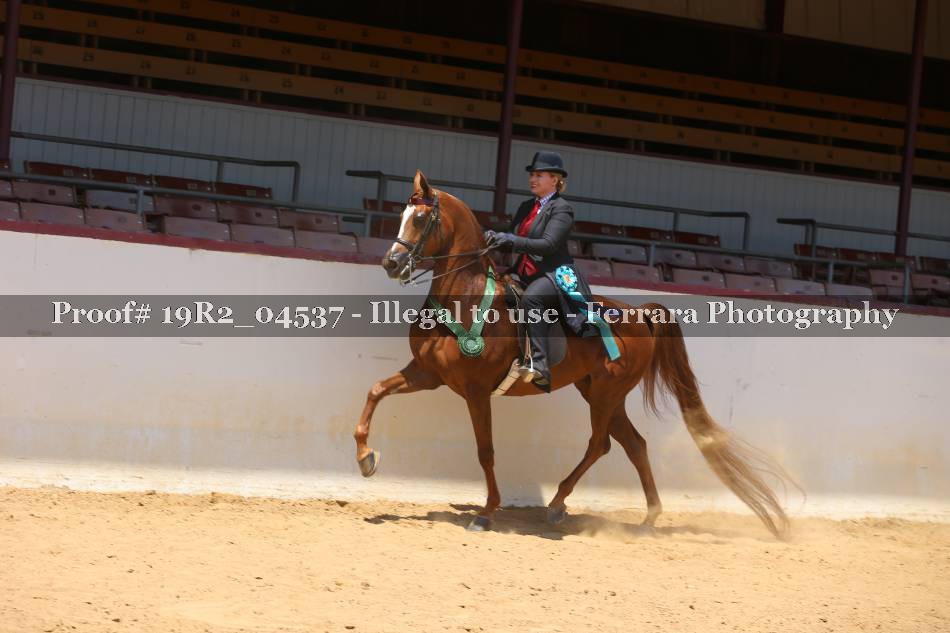 Proof 19R2_04537