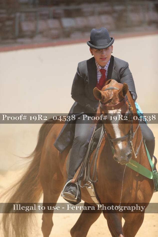 Proof 19R2_04538
