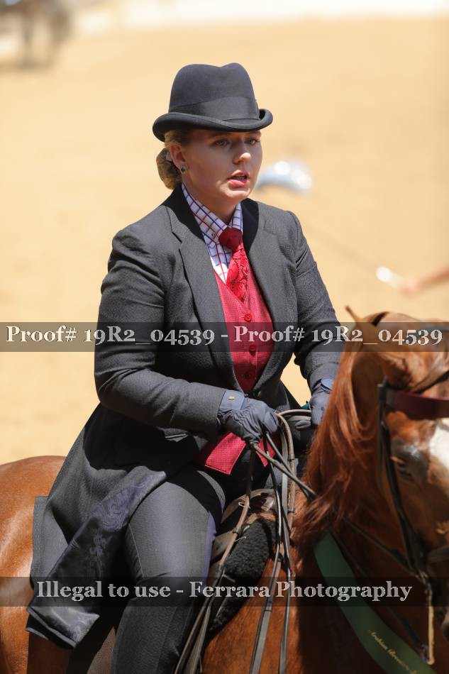 Proof 19R2_04539