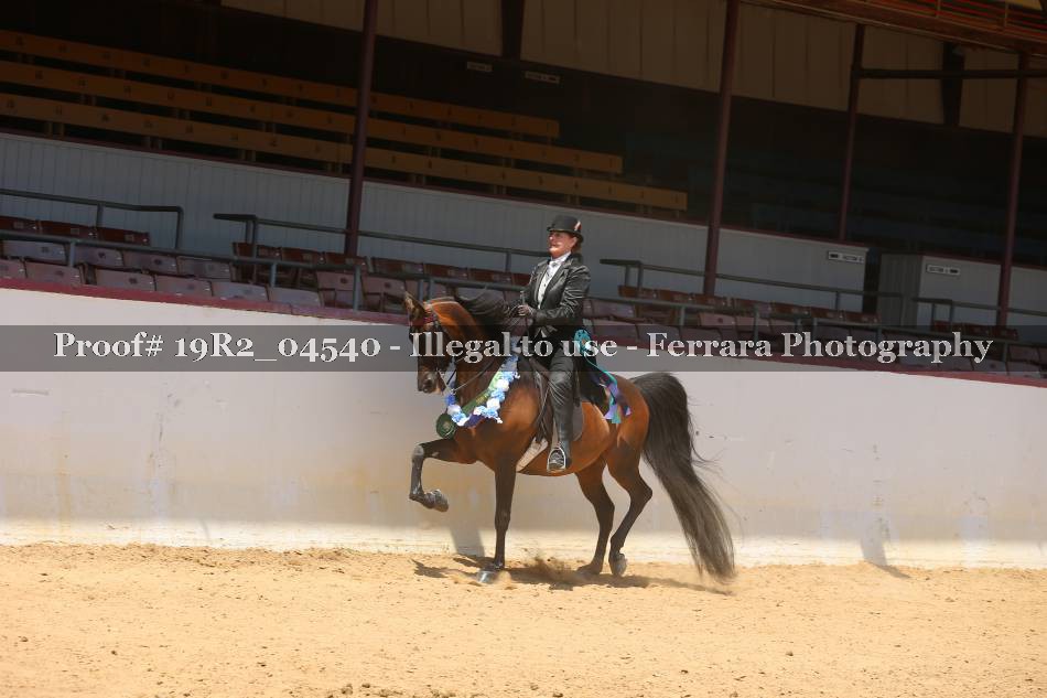 Proof 19R2_04540