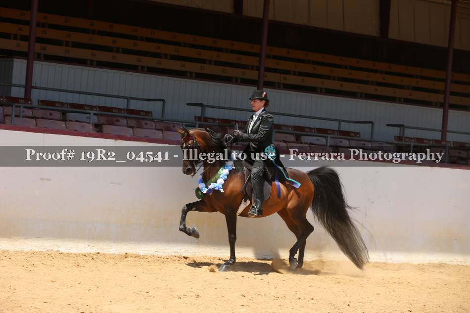 Proof 19R2_04541