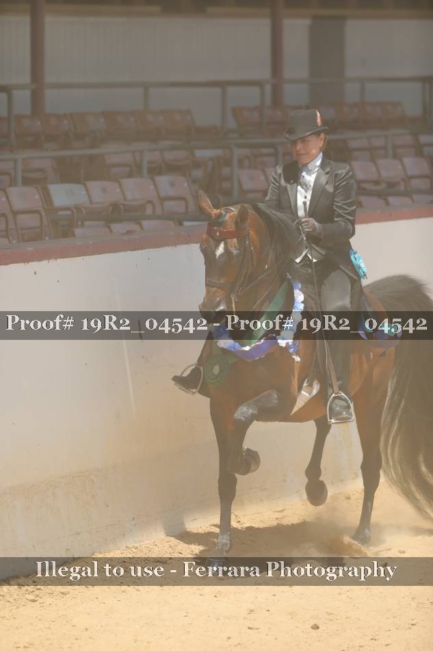 Proof 19R2_04542