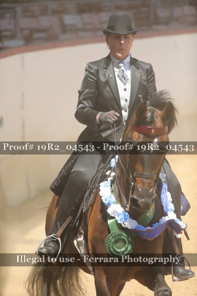 Proof 19R2_04543