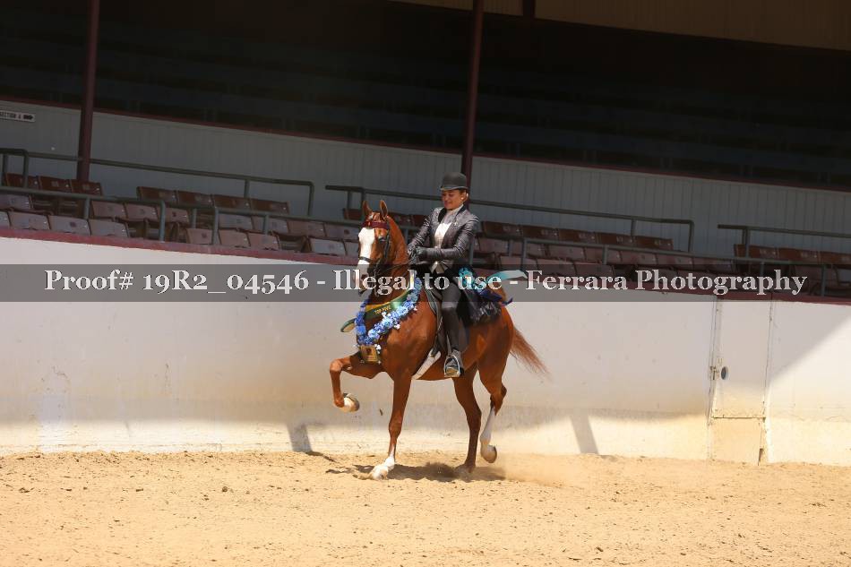 Proof 19R2_04546